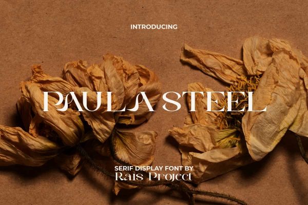 Paula Steel Font - Image 8