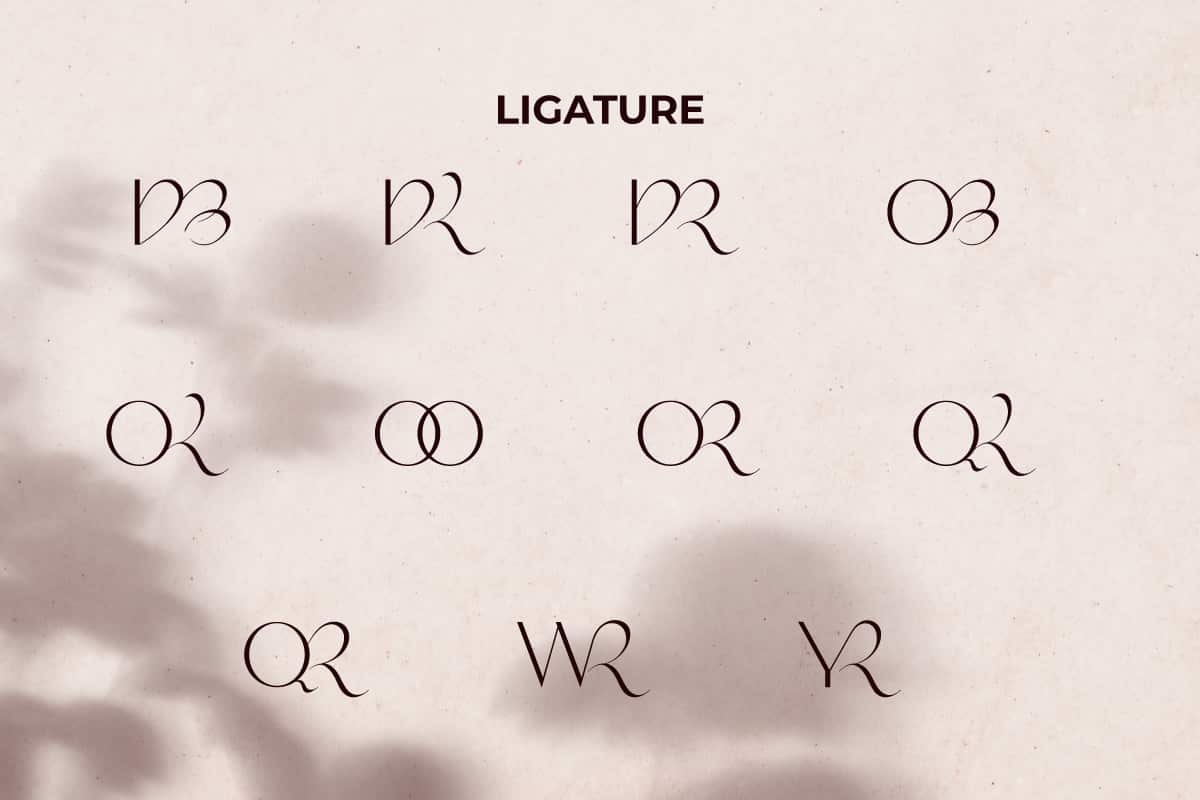 Fayre Aurora Display Font - Image 4