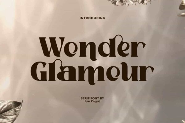 Wonder Glamour Font - Image 9
