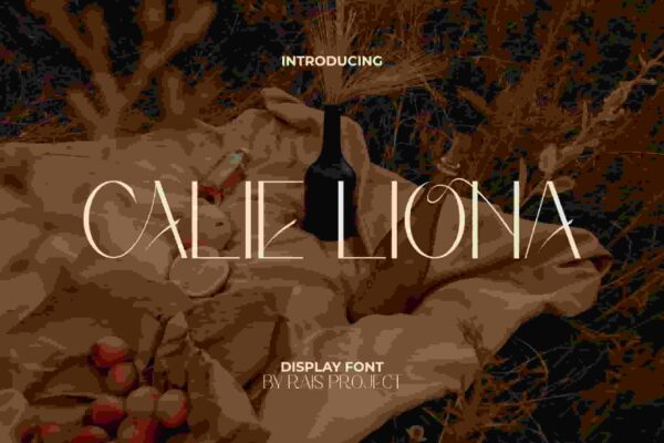 Calie Liona Display Font - Image 10