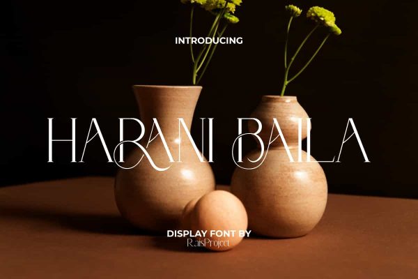 Harani Baila Font - Image 9