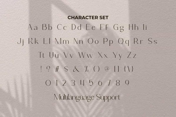 Ecdar Filbert Font - Image 4