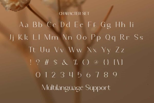 Abrani Jaden Font - Image 4