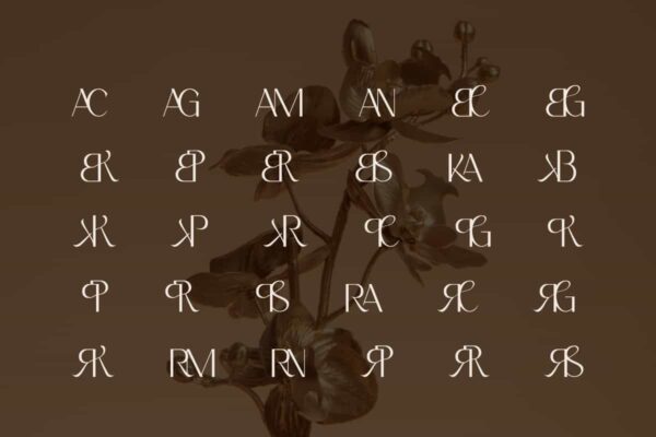 Abrani Jaden Font - Image 7