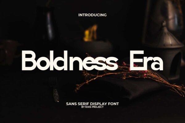 Boldness Era Font