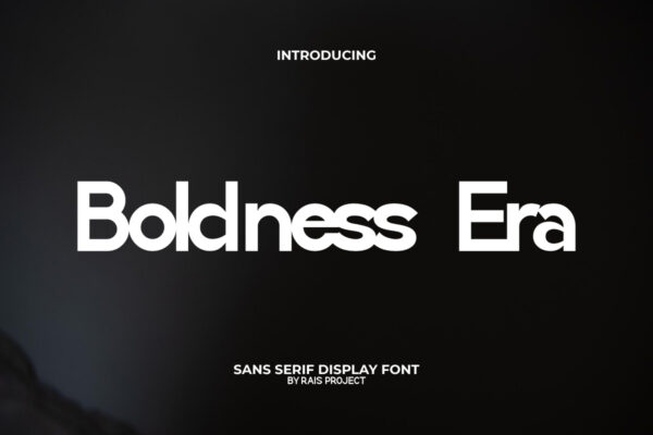 Boldness Era Font - Image 9
