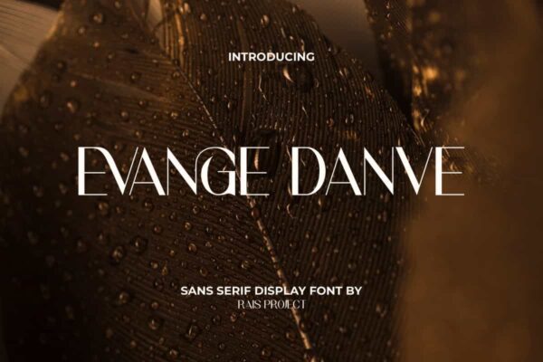 Evange Danve Font