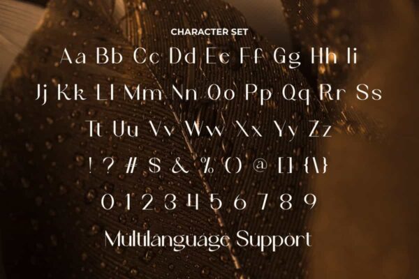 Evange Danve Font - Image 4