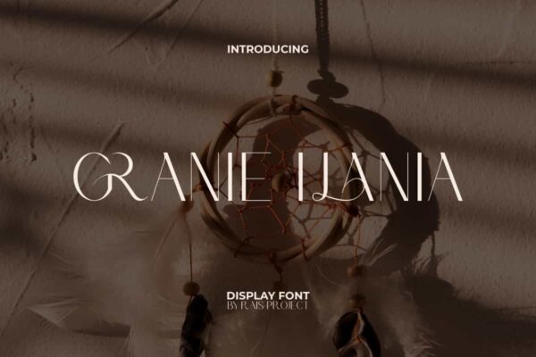 Granie Ilania Font - Image 10