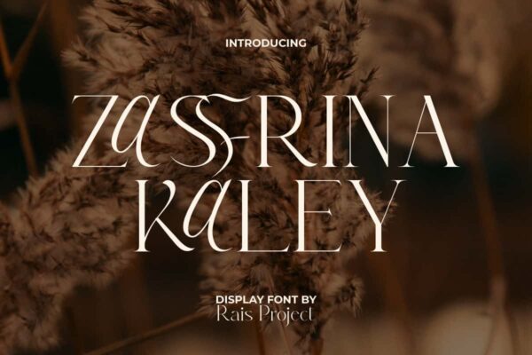Zasfrina Kaley Font