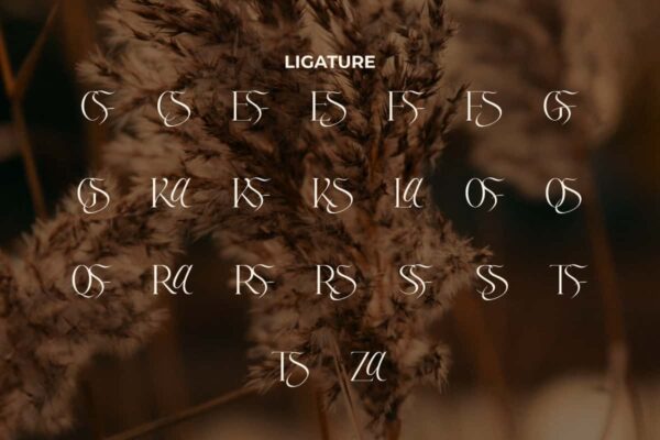 Zasfrina Kaley Font - Image 3