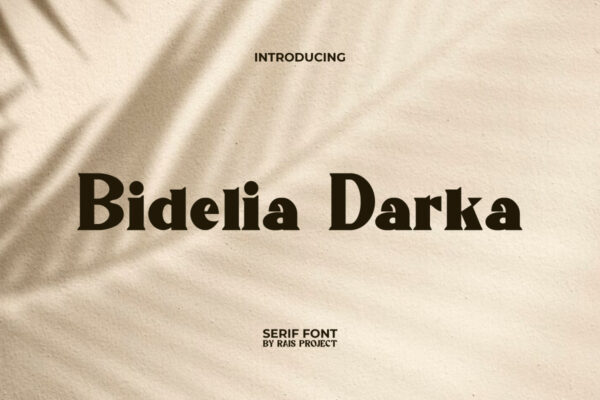 Bidelia Darka Font - Image 9