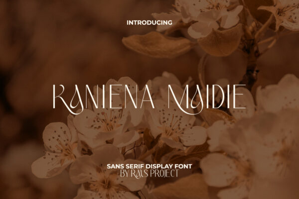 Kaniena Maidie Font - Image 9