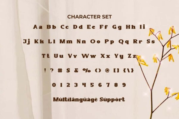 Alexis Moria Font - Image 5