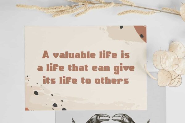 Emiliano Berta Font - Image 7