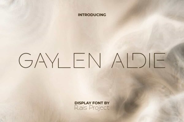 Gaylen Aldie Font - Image 9