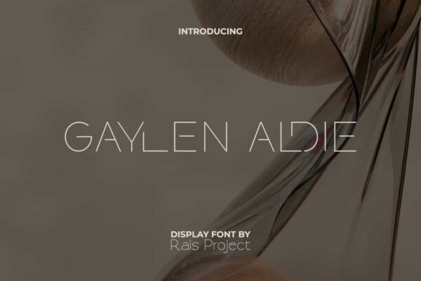 Gaylen Aldie Font