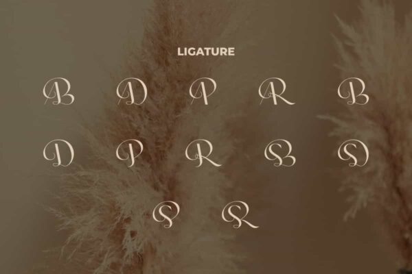 Sabiela Charlia Font - Image 6