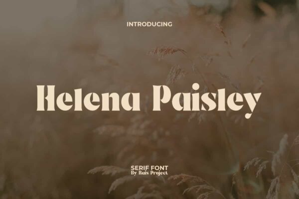 Helena Paisley Font - Image 9