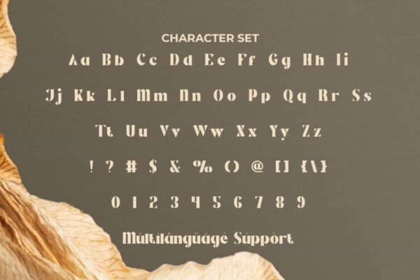Helena Paisley Font - Image 5